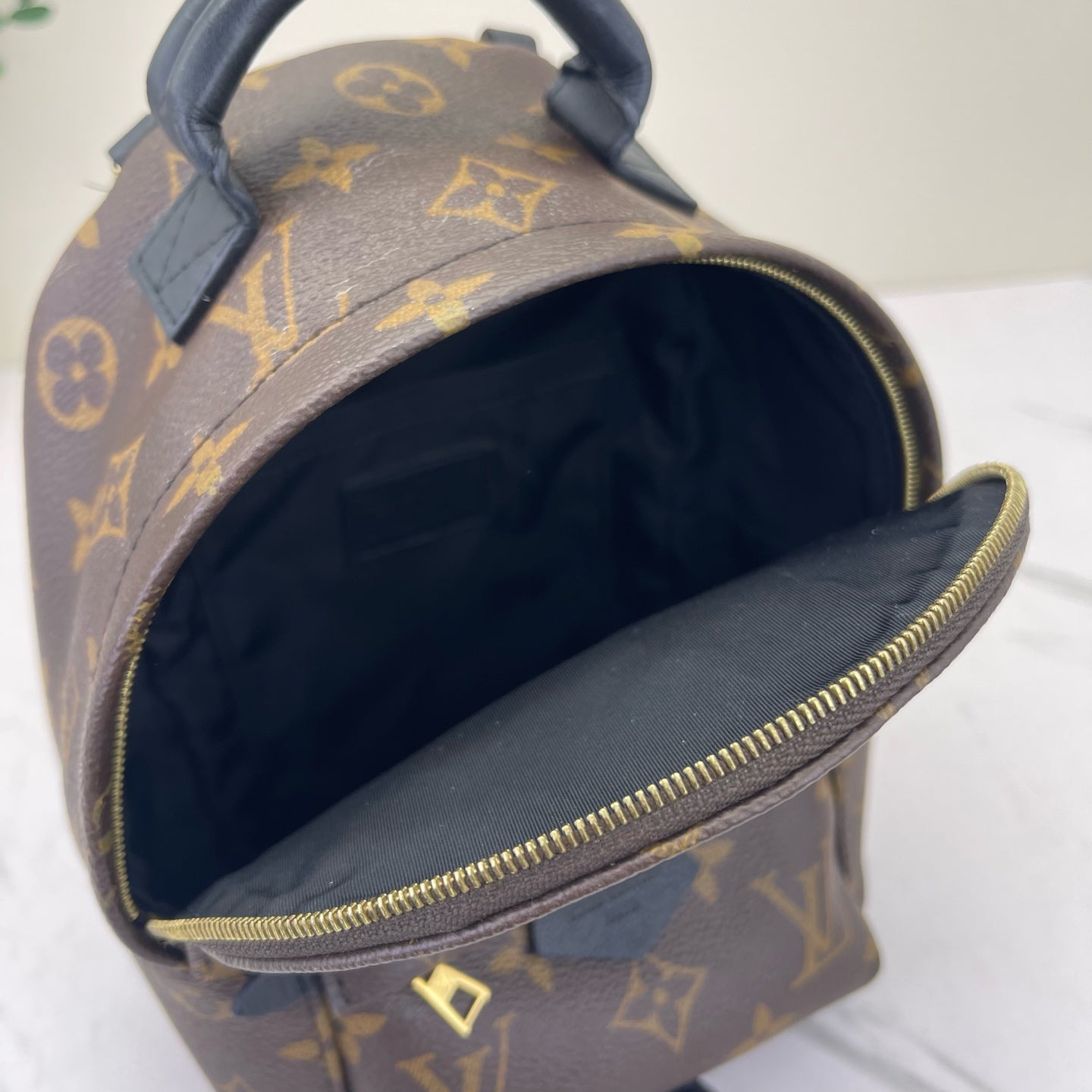 Louis Vuitton - Palm Springs Mini - Leather - Brown - (mini)