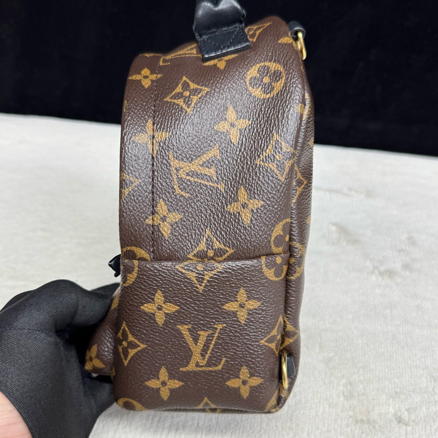 Louis Vuitton - Palm Springs Mini - Leather - Brown - (mini)
