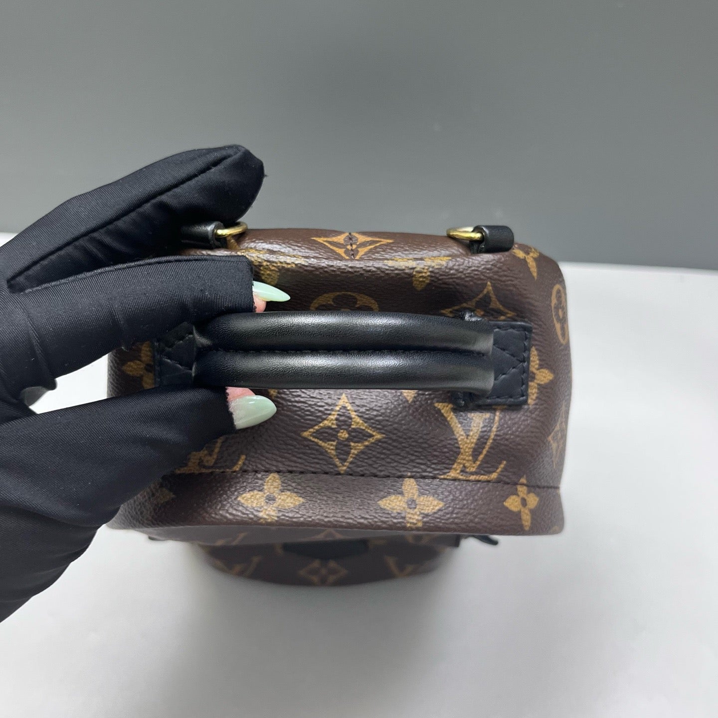 Louis Vuitton - Palm Springs Mini - Leather - Brown - (mini)