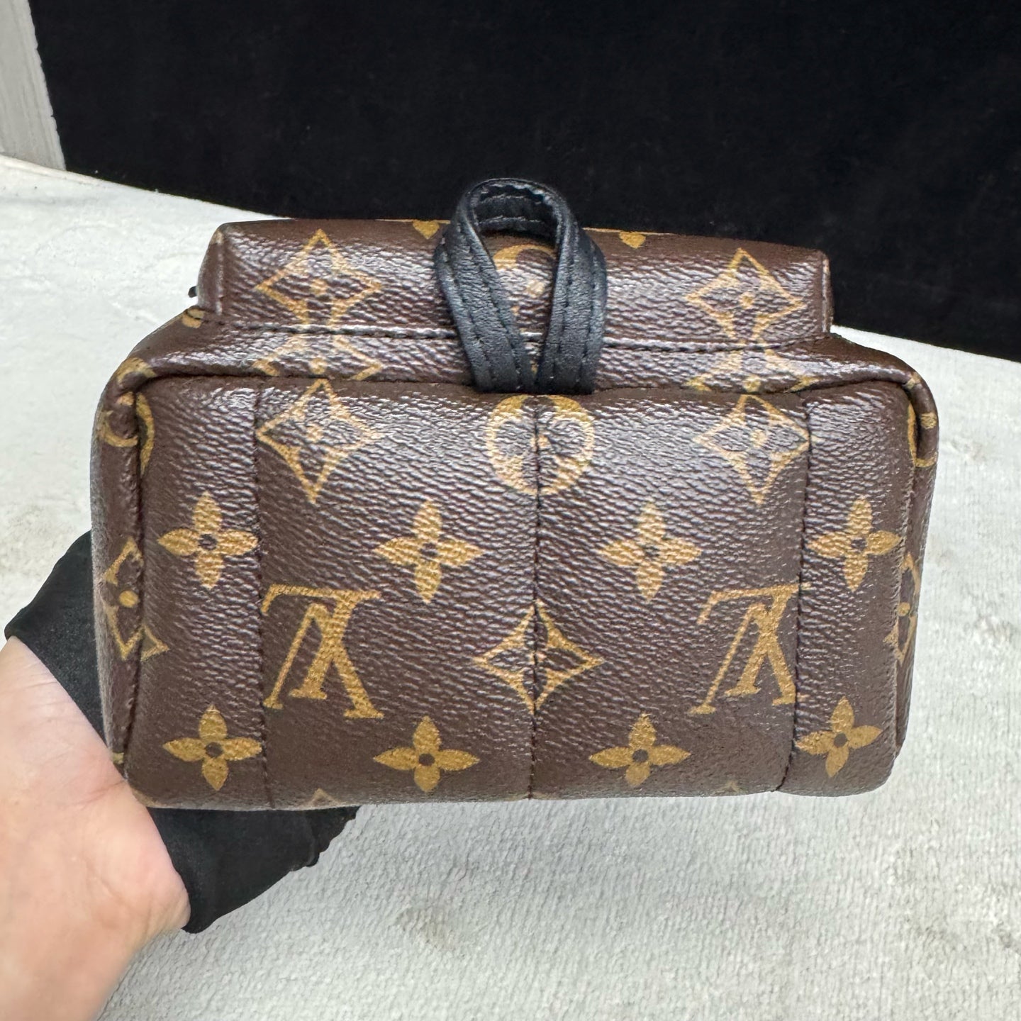 Louis Vuitton - Palm Springs Mini - Leather - Brown - (mini)