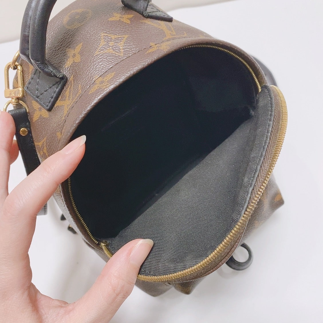 Louis Vuitton - Palm Springs Mini - Leather - Brown - (mini)
