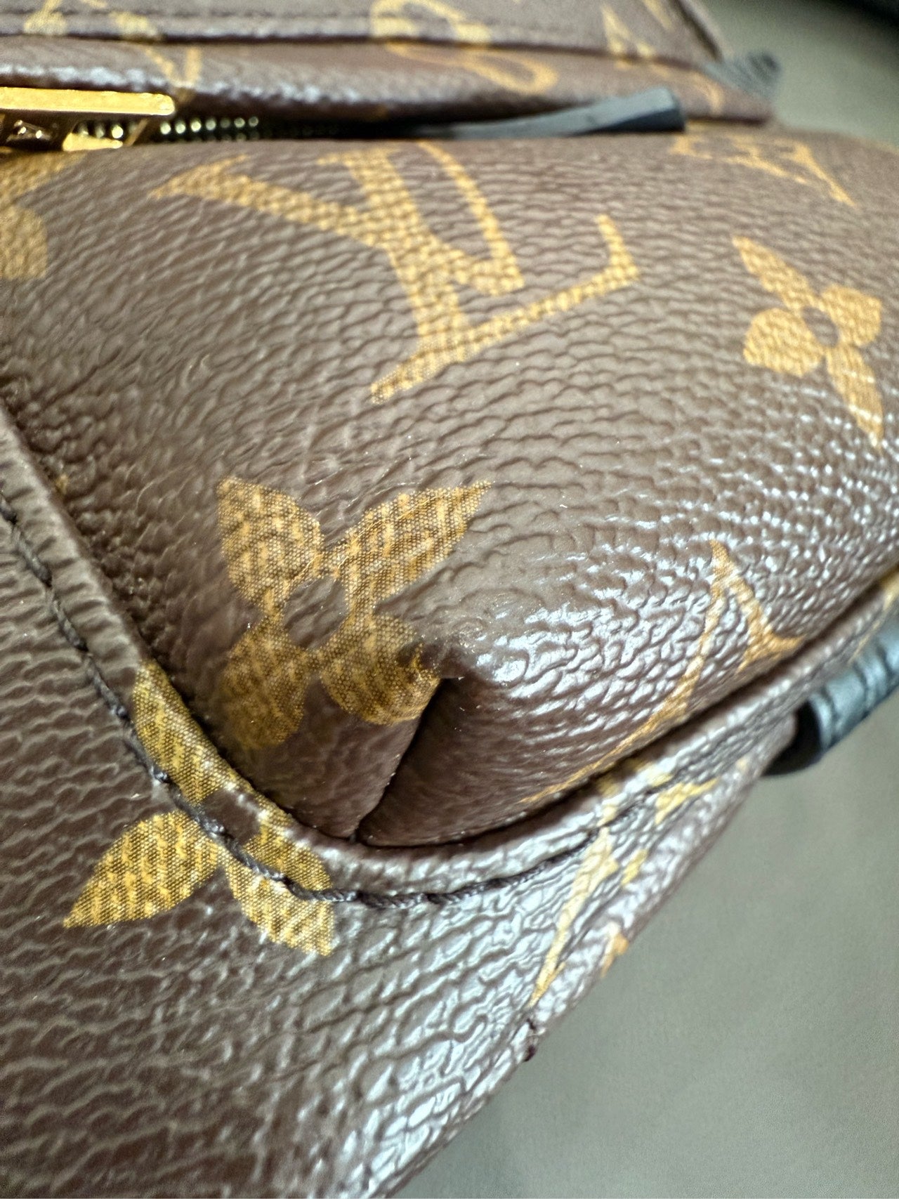 Louis Vuitton - Palm Springs Mini - Leather - Brown - (mini)