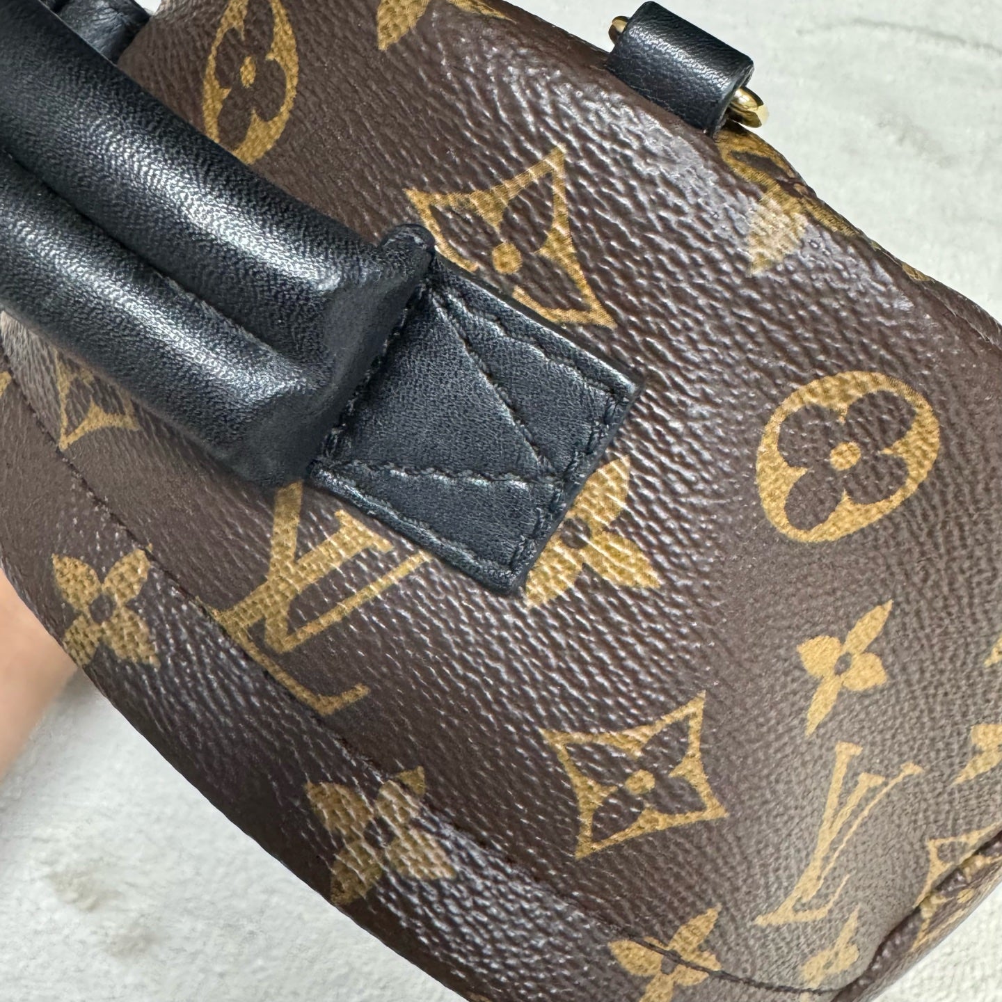 Louis Vuitton - Palm Springs Mini - Leather - Brown - (mini)