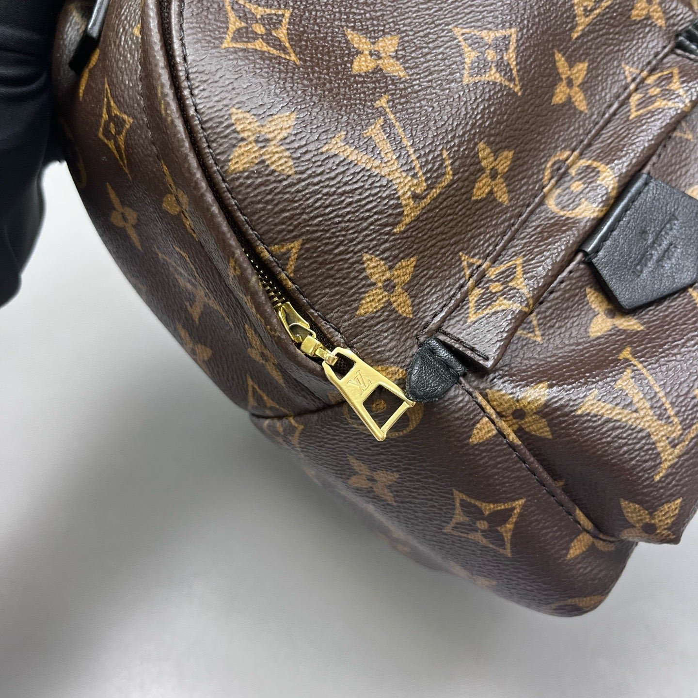 Louis Vuitton - Palm Springs Mini - Leather - Brown - (mini)