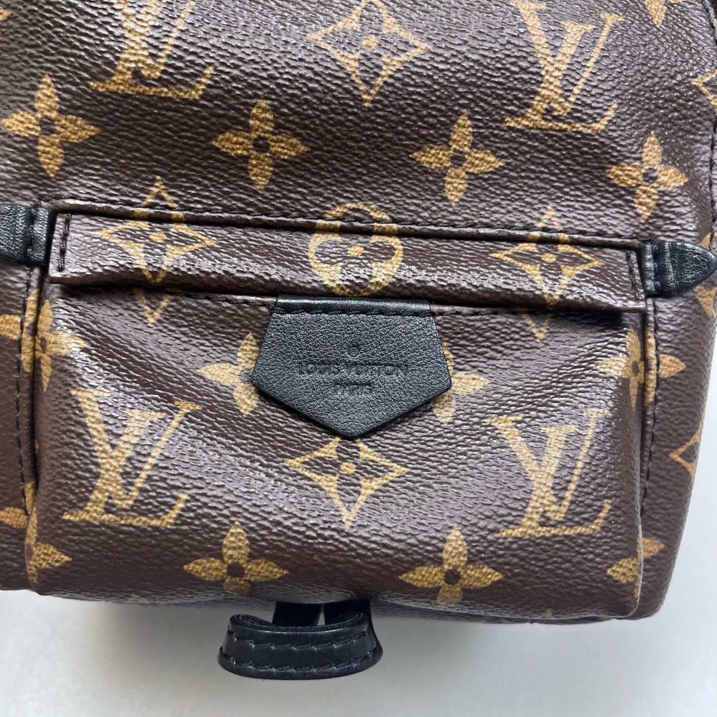 Louis Vuitton - Palm Springs Mini - Leather - Brown - (mini)