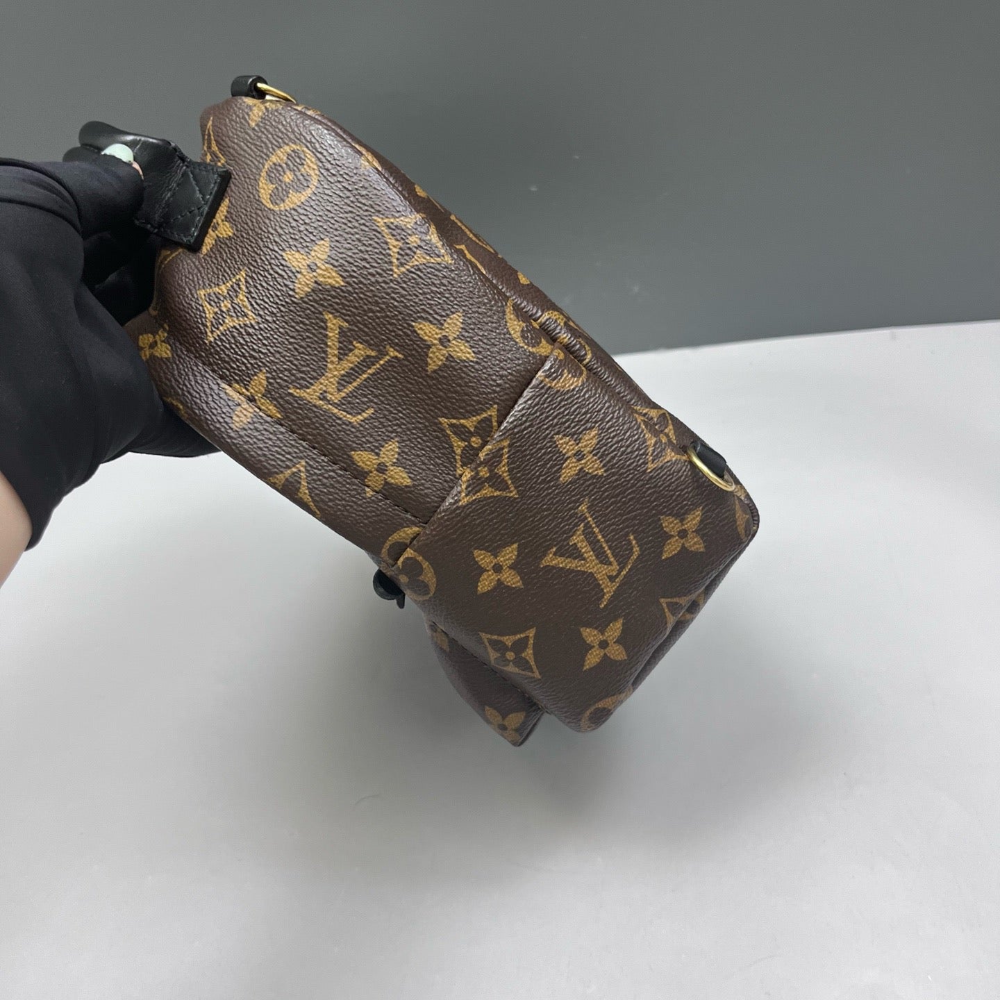 Louis Vuitton - Palm Springs Mini - Leather - Brown - (mini)