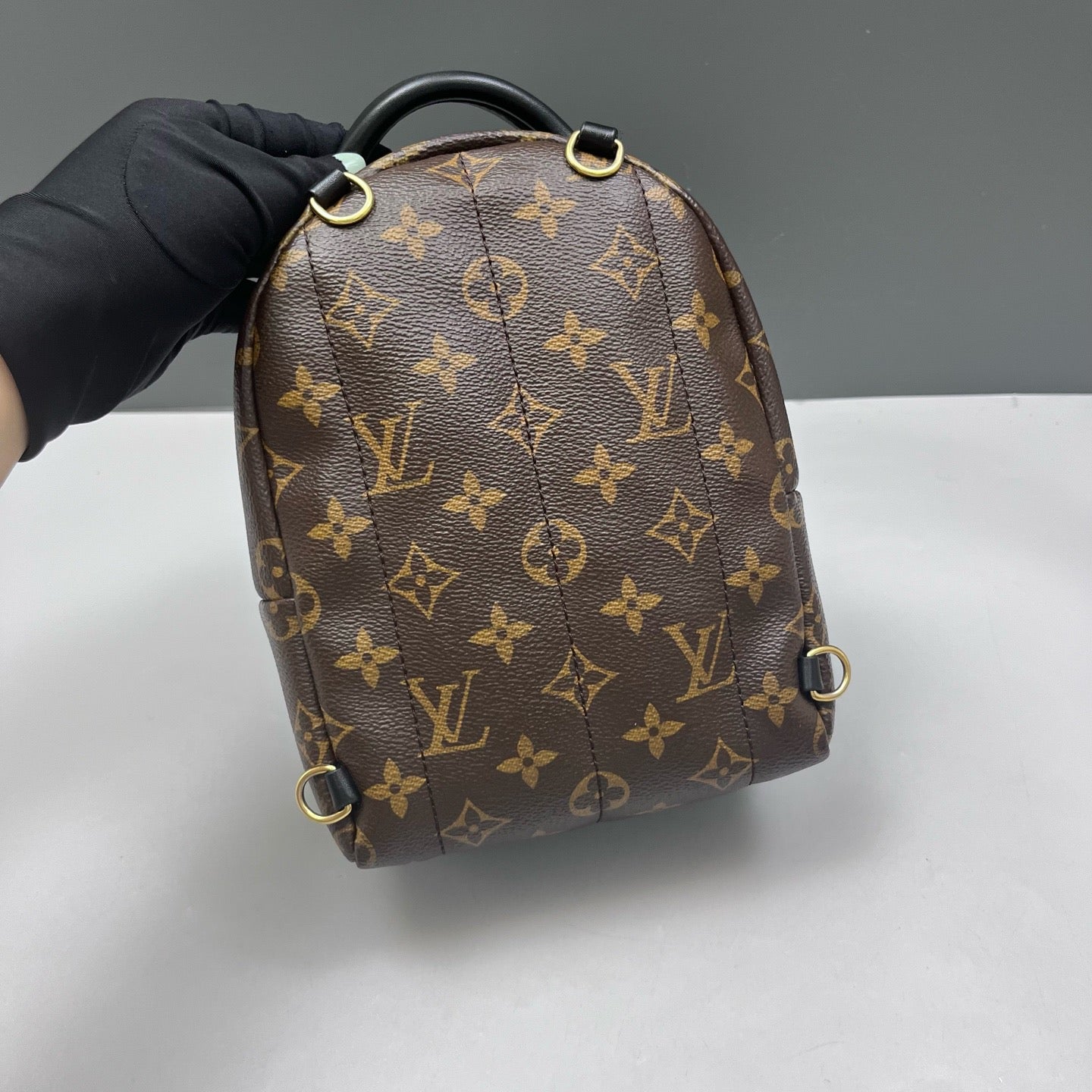 Louis Vuitton - Palm Springs Mini - Leather - Brown - (mini)