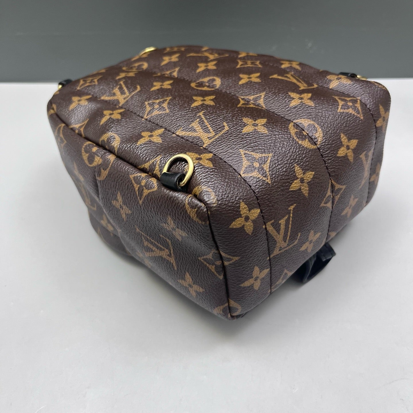 Louis Vuitton - Palm Springs Mini - Leather - Brown - (mini)