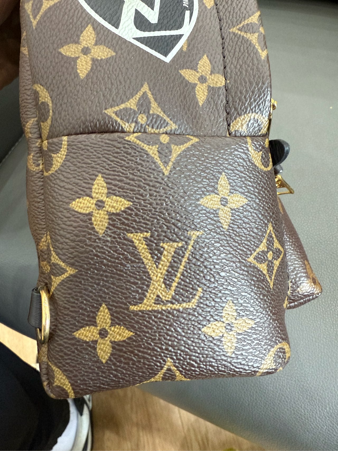 Louis Vuitton - Palm Springs Mini - Leather - Brown - (mini)