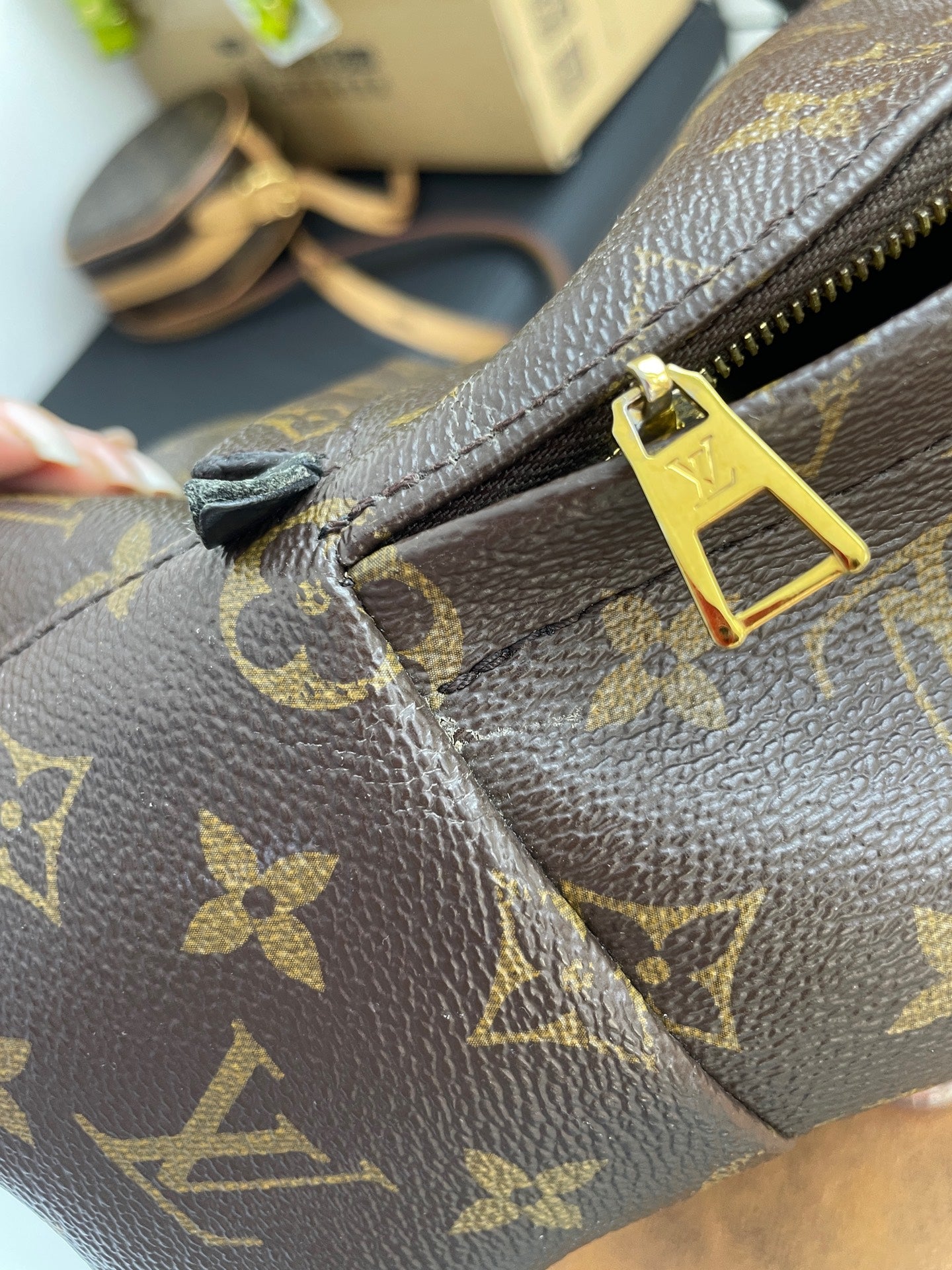 Louis Vuitton - Palm Springs Mini - Leather - Brown - (mini)