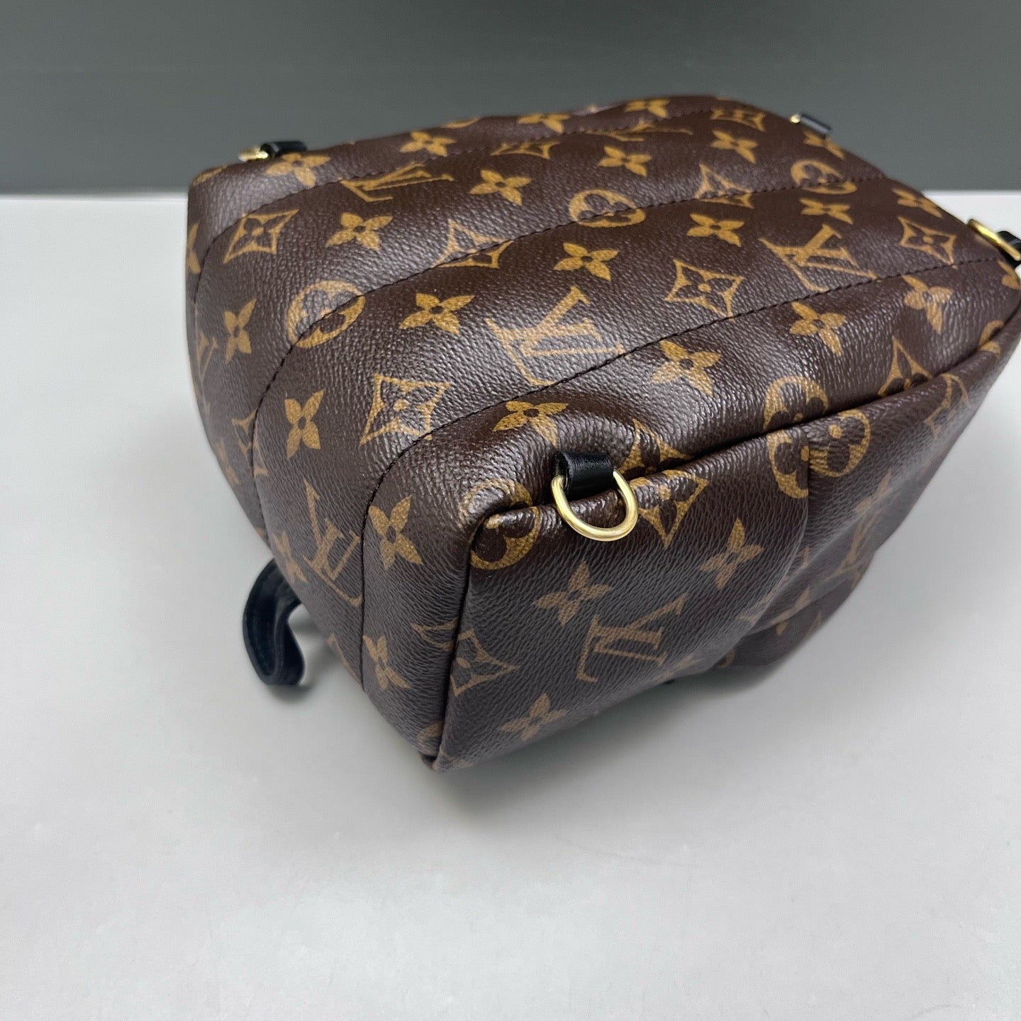 Louis Vuitton - Palm Springs Mini - Leather - Brown - (mini)