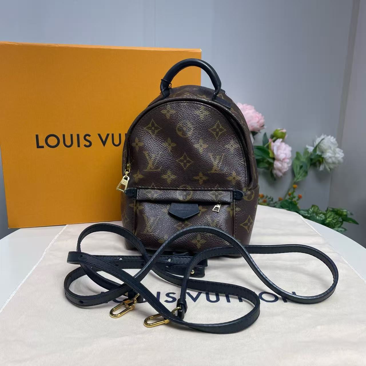 Louis Vuitton - Palm Springs Mini - Monogram Canvas with cowhide leather trim - Brown - (mini)
