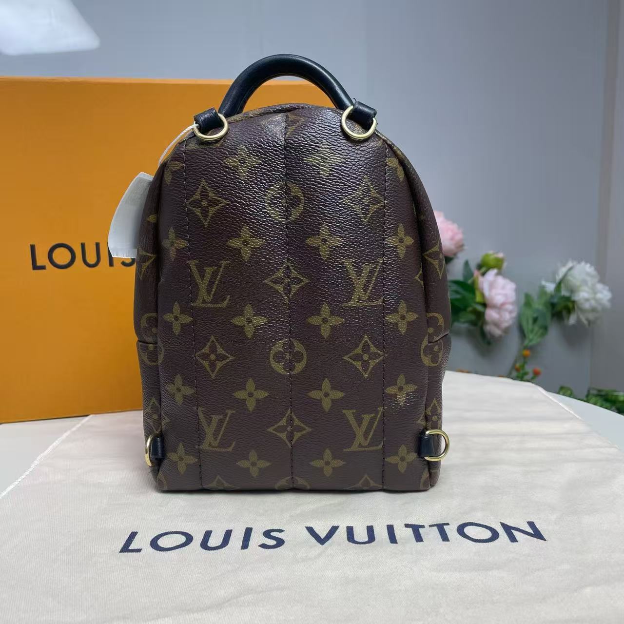 Louis Vuitton - Palm Springs Mini - Monogram Canvas with cowhide leather trim - Brown - (mini)