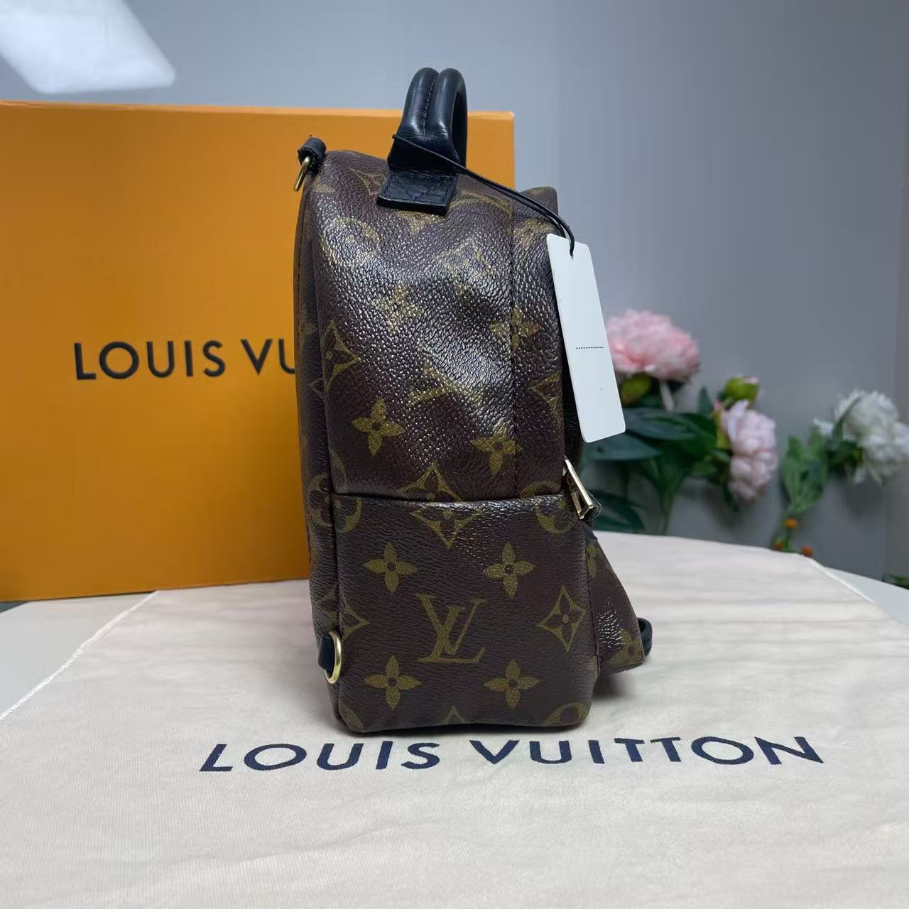 Louis Vuitton - Palm Springs Mini - Monogram Canvas with cowhide leather trim - Brown - (mini)