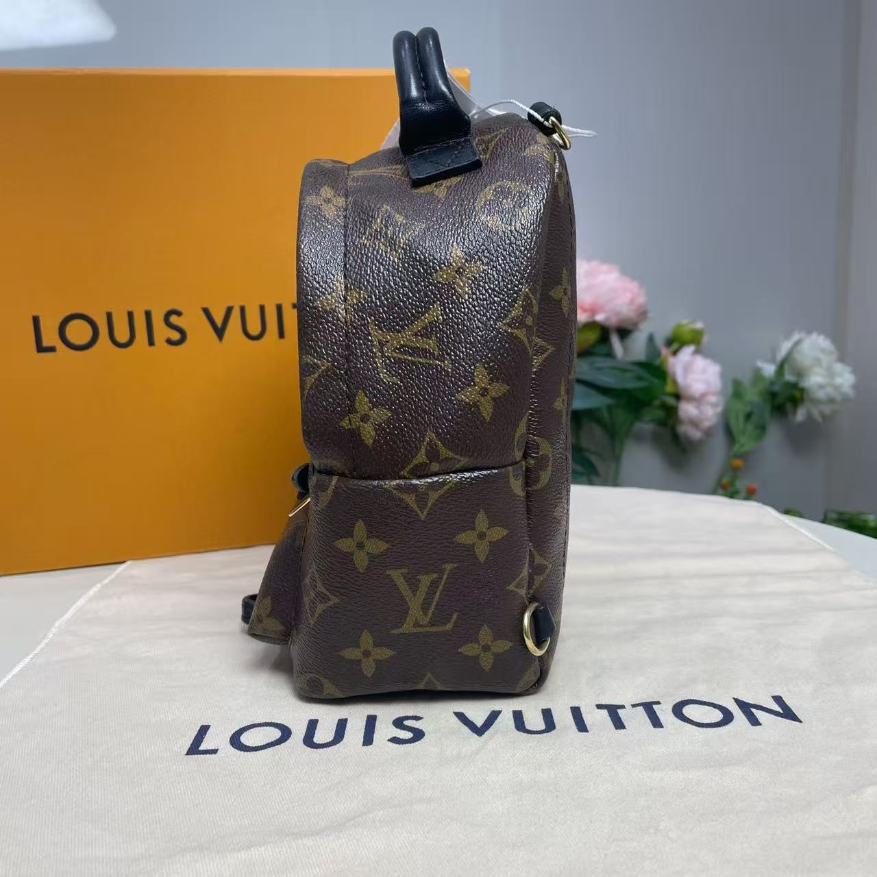 Louis Vuitton - Palm Springs Mini - Monogram Canvas with cowhide leather trim - Brown - (mini)