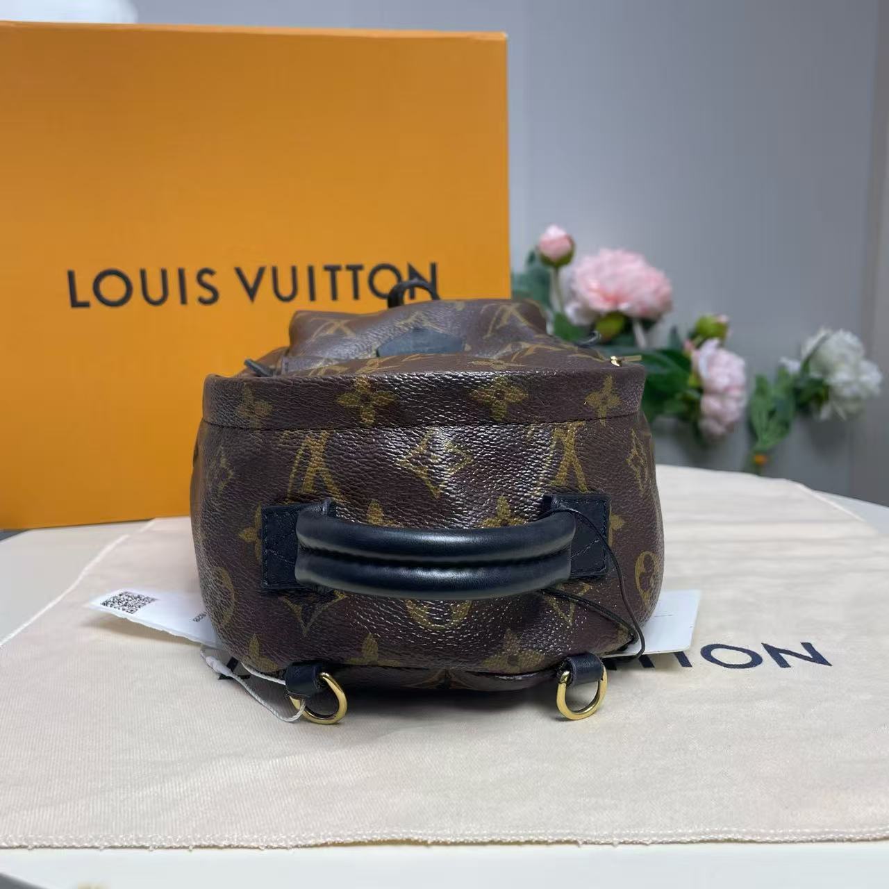 Louis Vuitton - Palm Springs Mini - Monogram Canvas with cowhide leather trim - Brown - (mini)