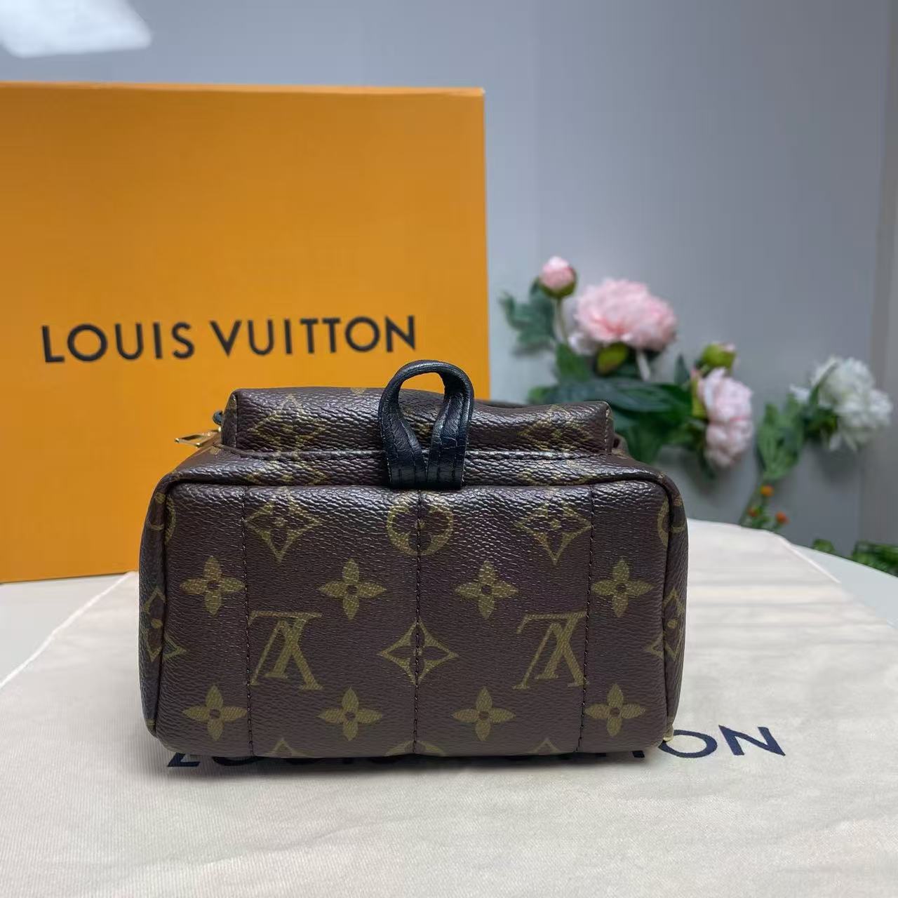 Louis Vuitton - Palm Springs Mini - Monogram Canvas with cowhide leather trim - Brown - (mini)