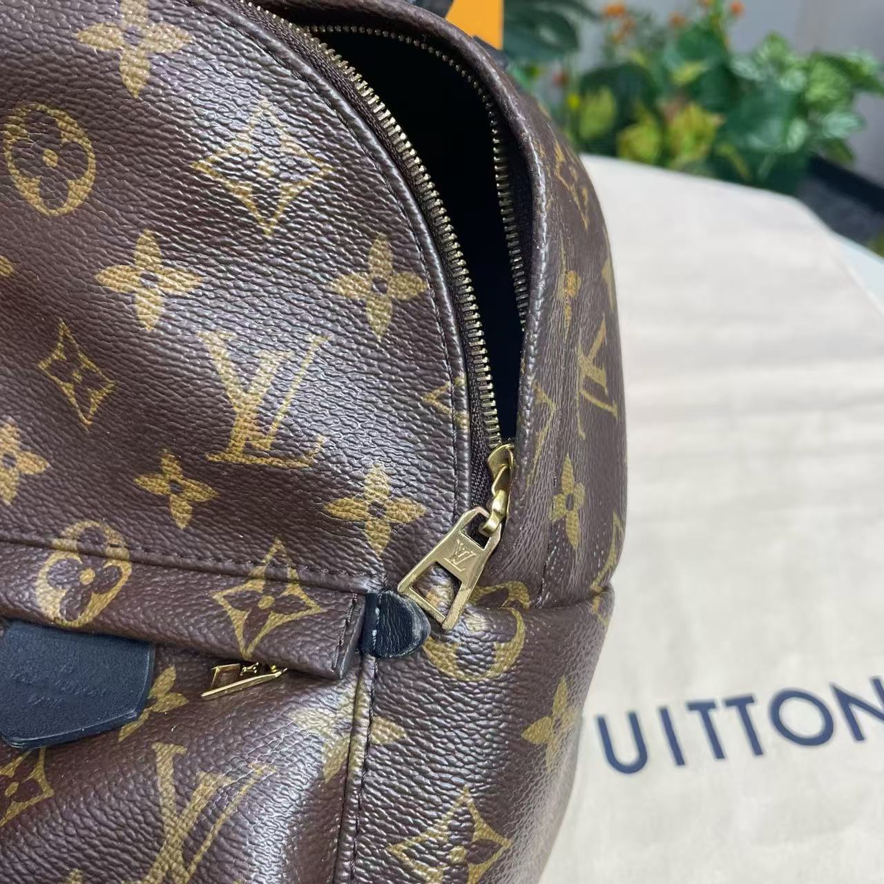 Louis Vuitton - Palm Springs Mini - Monogram Canvas with cowhide leather trim - Brown - (mini)