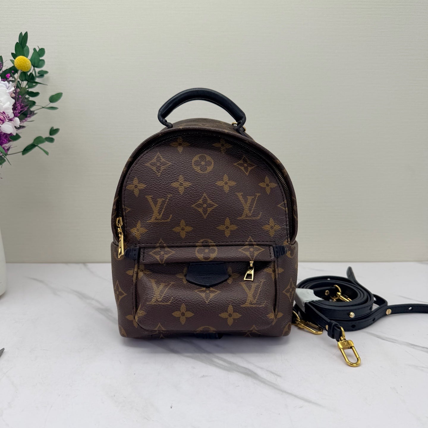 Louis Vuitton - Palm Springs Mini - Monogram coated canvas with leather trim - Brown - (mini)