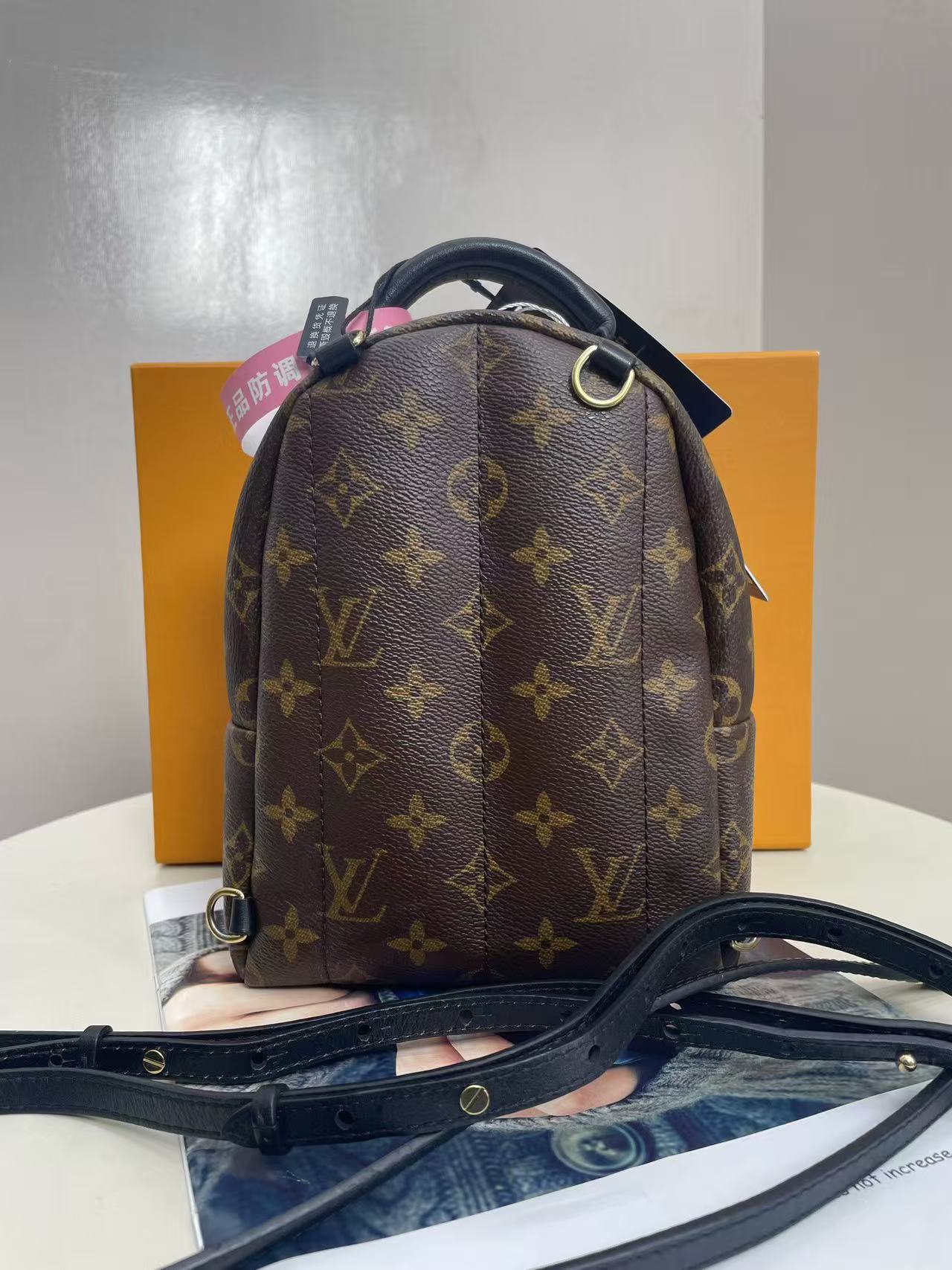 Louis Vuitton - Palm Springs Mini - Monogram coated canvas with leather trim - Brown - (mini)