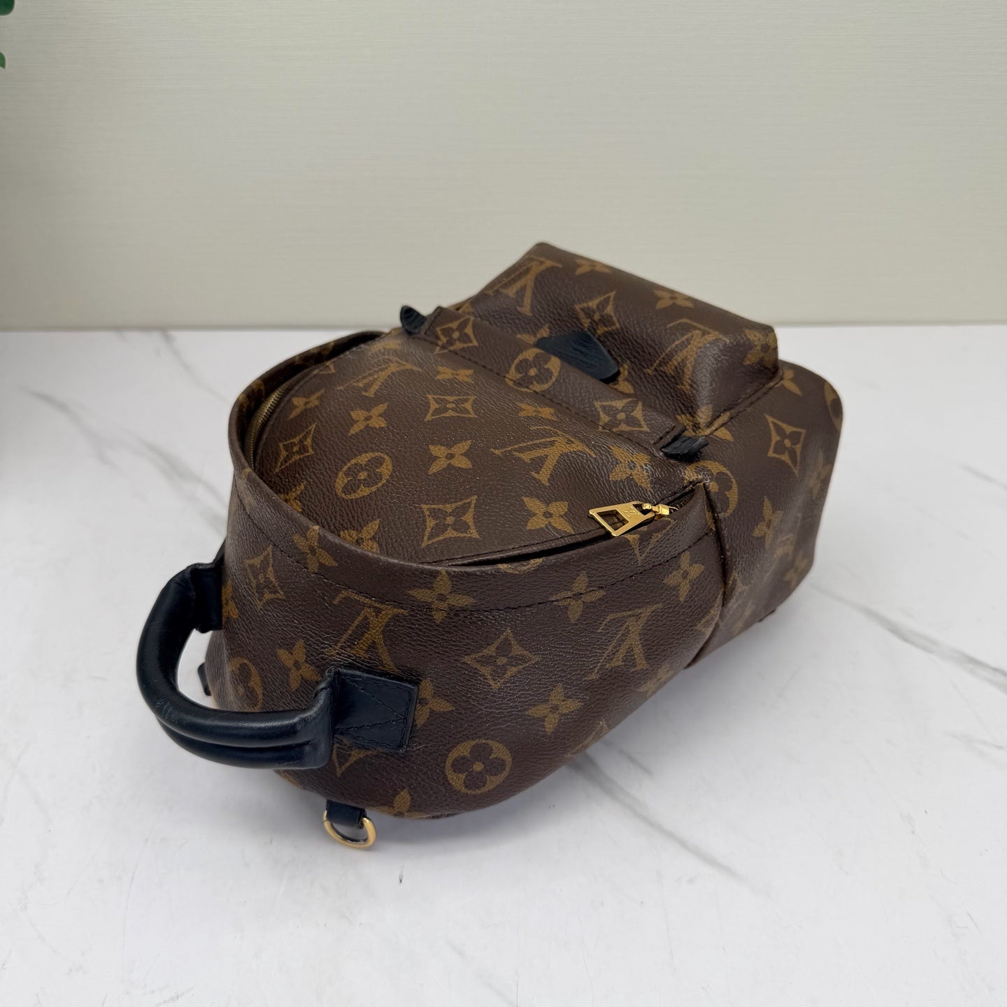 Louis Vuitton - Palm Springs Mini - Monogram coated canvas with leather trim - Brown - (mini)