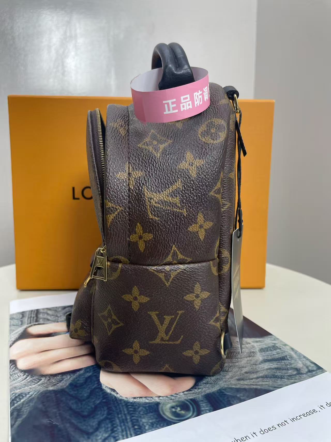 Louis Vuitton - Palm Springs Mini - Monogram coated canvas with leather trim - Brown - (mini)