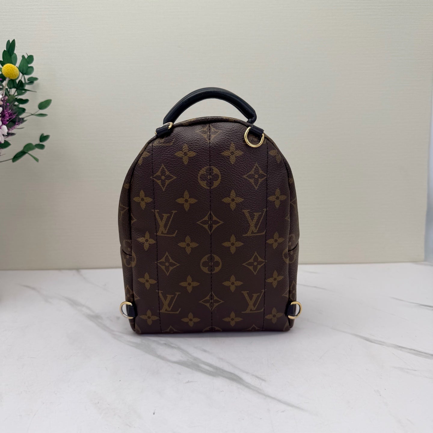 Louis Vuitton - Palm Springs Mini - Monogram coated canvas with leather trim - Brown - (mini)