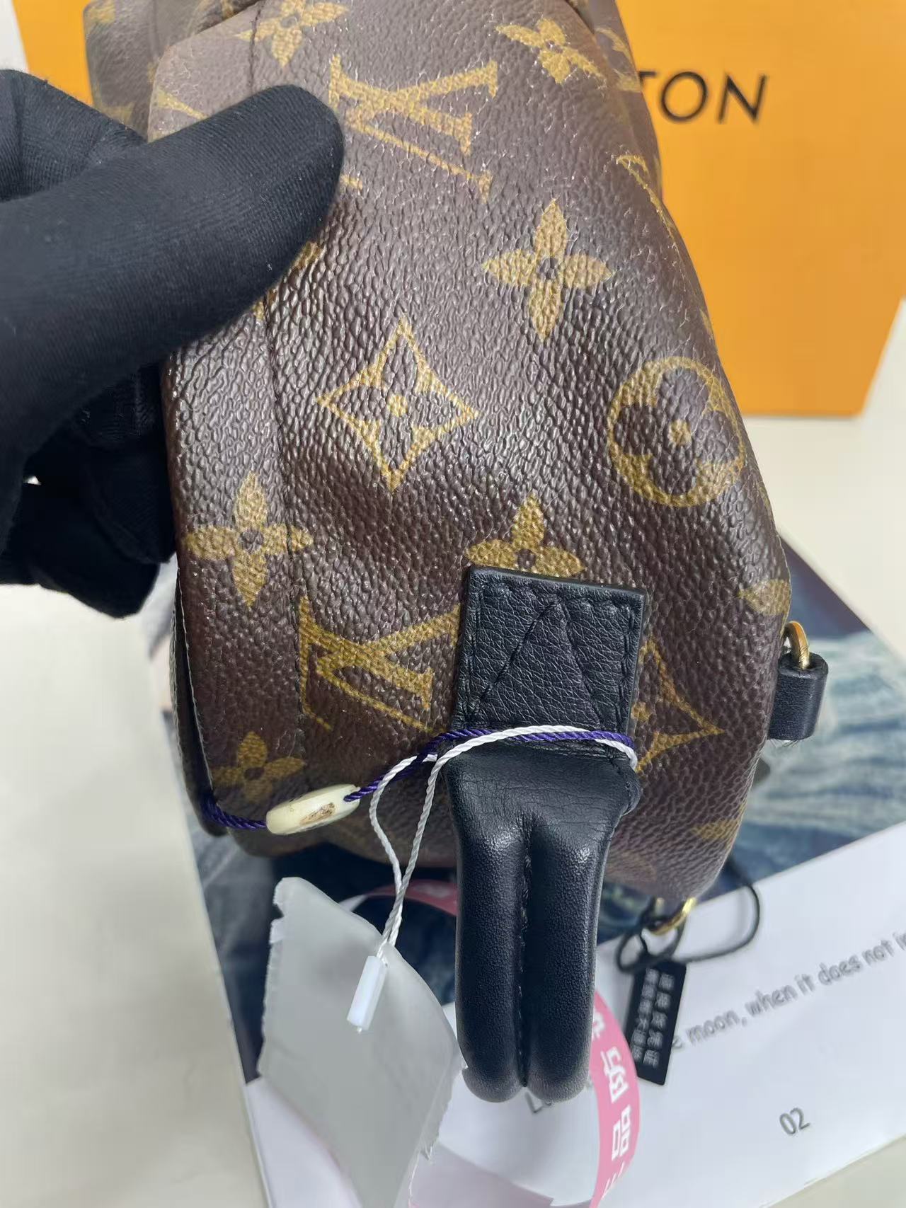 Louis Vuitton - Palm Springs Mini - Monogram coated canvas with leather trim - Brown - (mini)