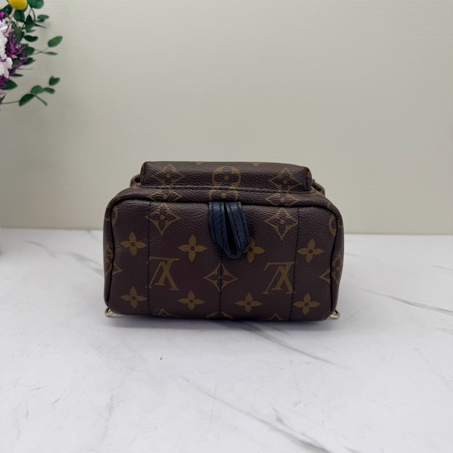Louis Vuitton - Palm Springs Mini - Monogram coated canvas with leather trim - Brown - (mini)