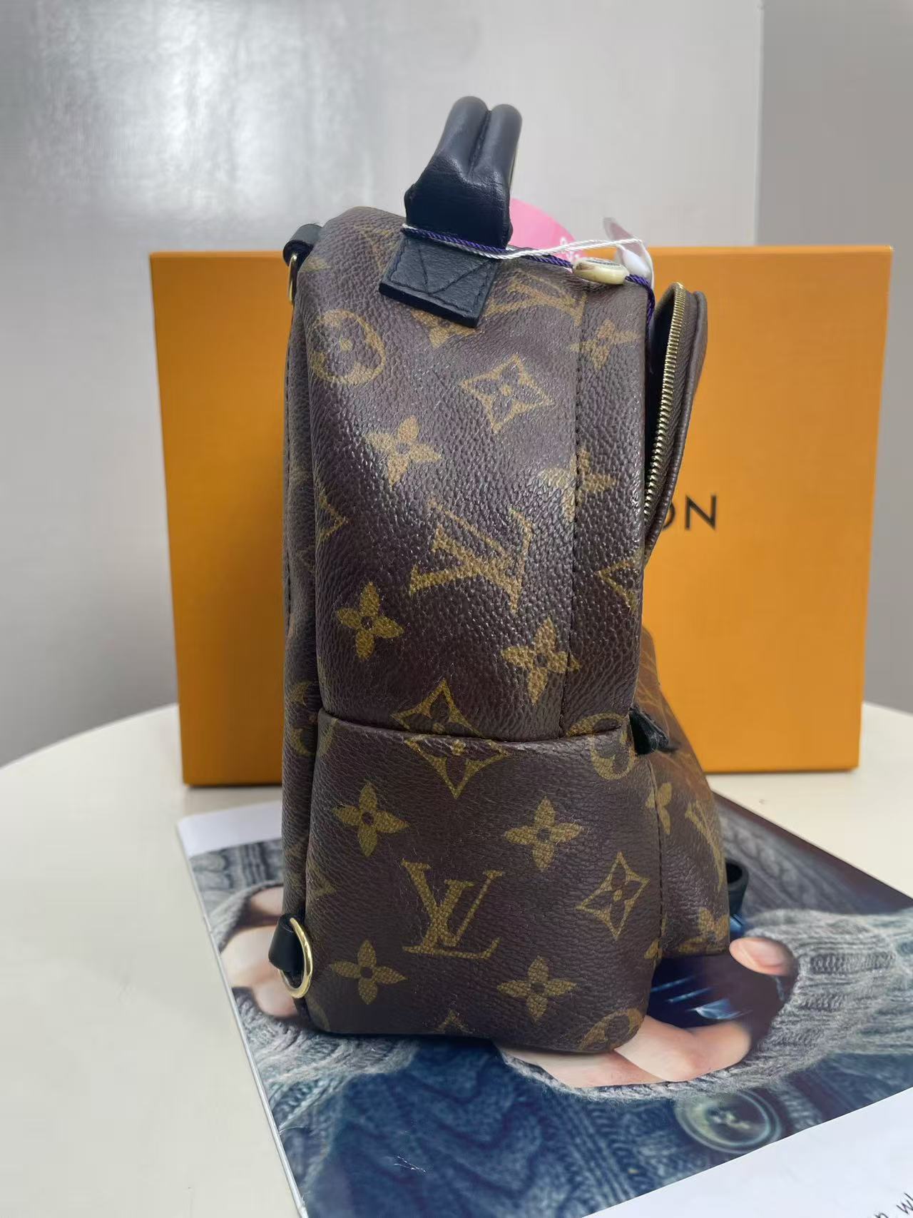 Louis Vuitton - Palm Springs Mini - Monogram coated canvas with leather trim - Brown - (mini)