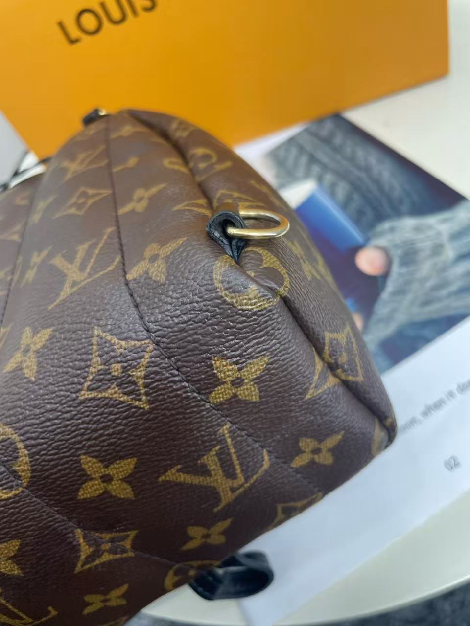 Louis Vuitton - Palm Springs Mini - Monogram coated canvas with leather trim - Brown - (mini)