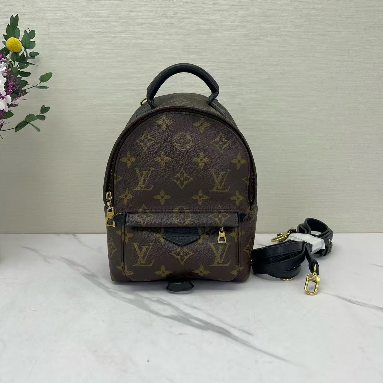 Louis Vuitton - Palm Springs Mini - Monogram coated canvas with leather trim - Brown with black trim - (mini)