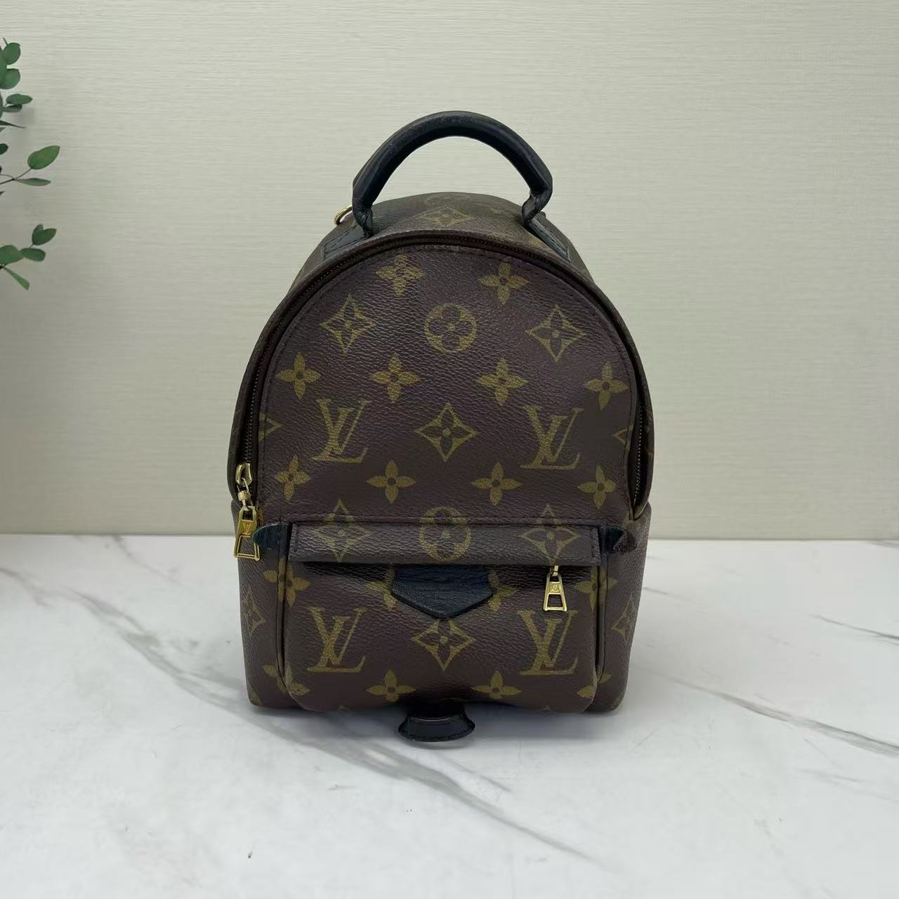 Louis Vuitton - Palm Springs Mini - Monogram coated canvas with leather trim - Brown with black trim - (mini)