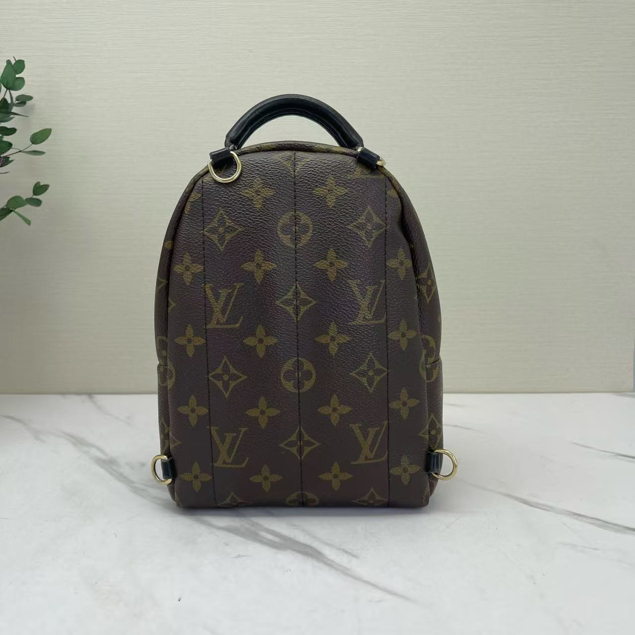 Louis Vuitton - Palm Springs Mini - Monogram coated canvas with leather trim - Brown with black trim - (mini)