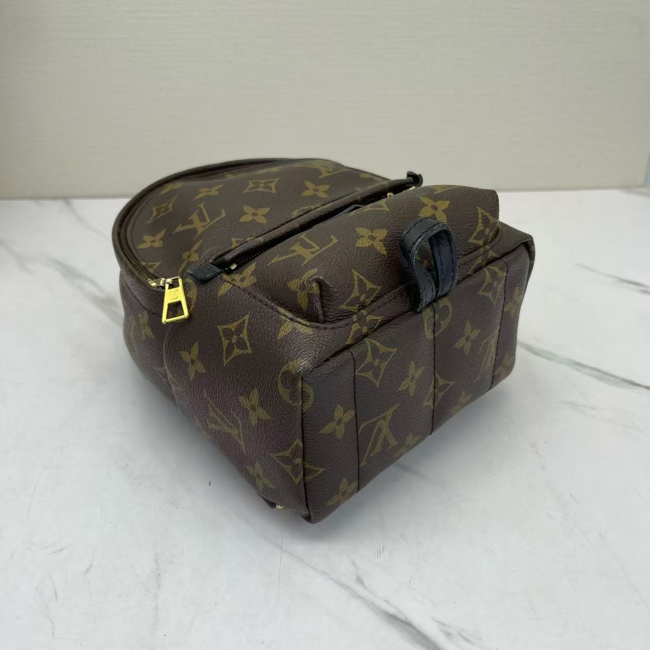 Louis Vuitton - Palm Springs Mini - Monogram coated canvas with leather trim - Brown with black trim - (mini)