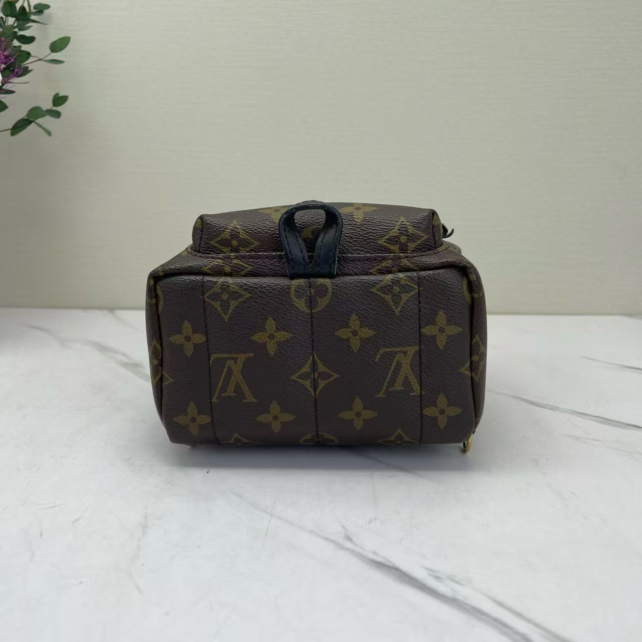 Louis Vuitton - Palm Springs Mini - Monogram coated canvas with leather trim - Brown with black trim - (mini)