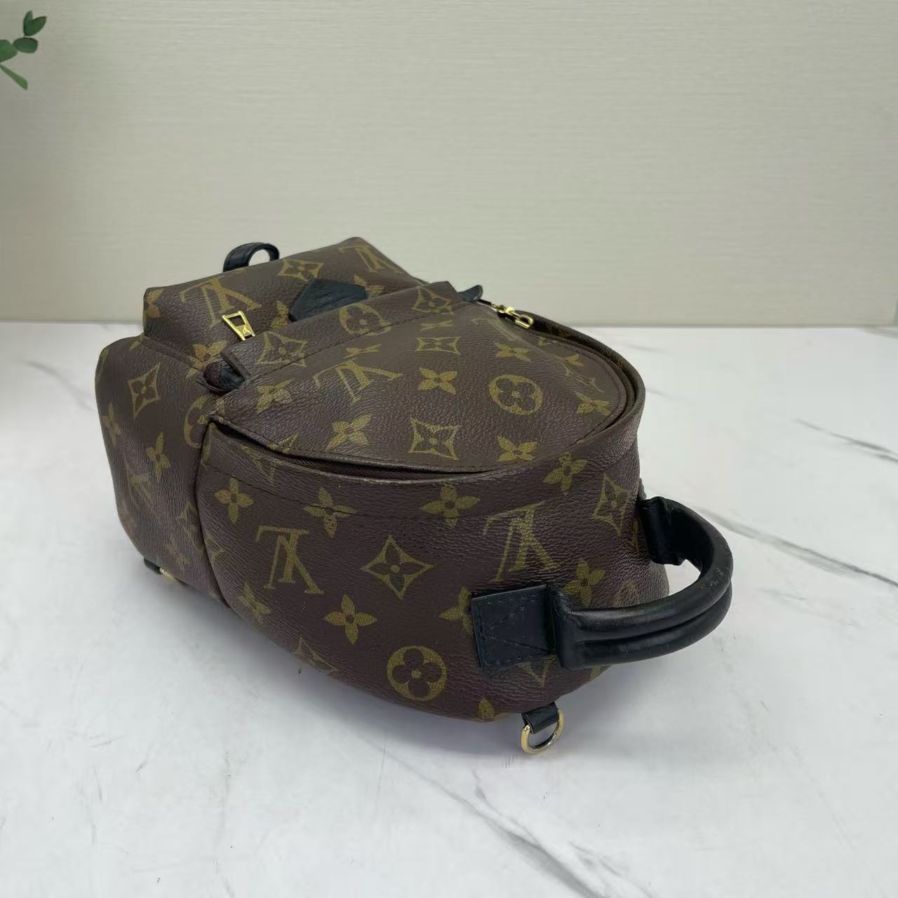 Louis Vuitton - Palm Springs Mini - Monogram coated canvas with leather trim - Brown with black trim - (mini)