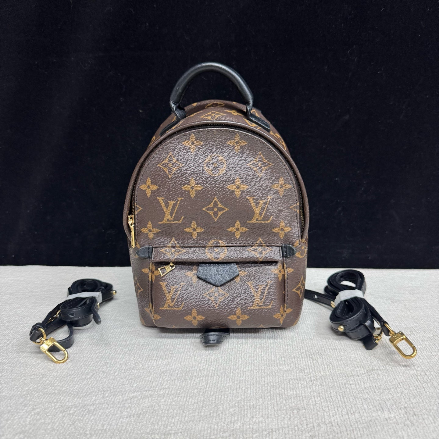 Louis Vuitton - Palm Springs Mini - Synthetic - Brown - (mini)