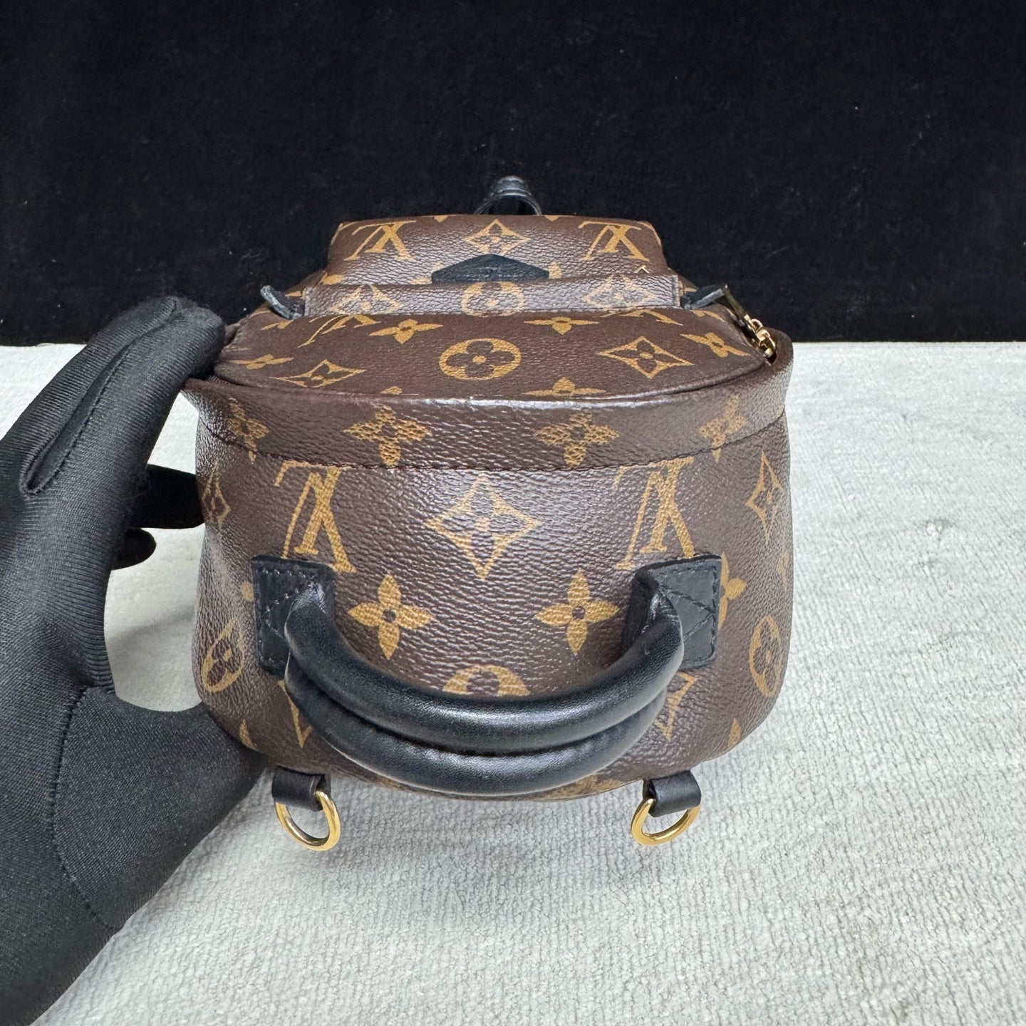 Louis Vuitton - Palm Springs Mini - Synthetic - Brown - (mini)
