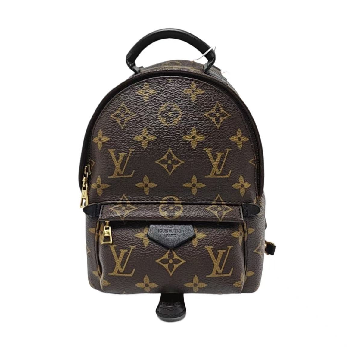 Louis Vuitton - Palm Springs - Monogram coated canvas with black leather trim - Brown - (mini)