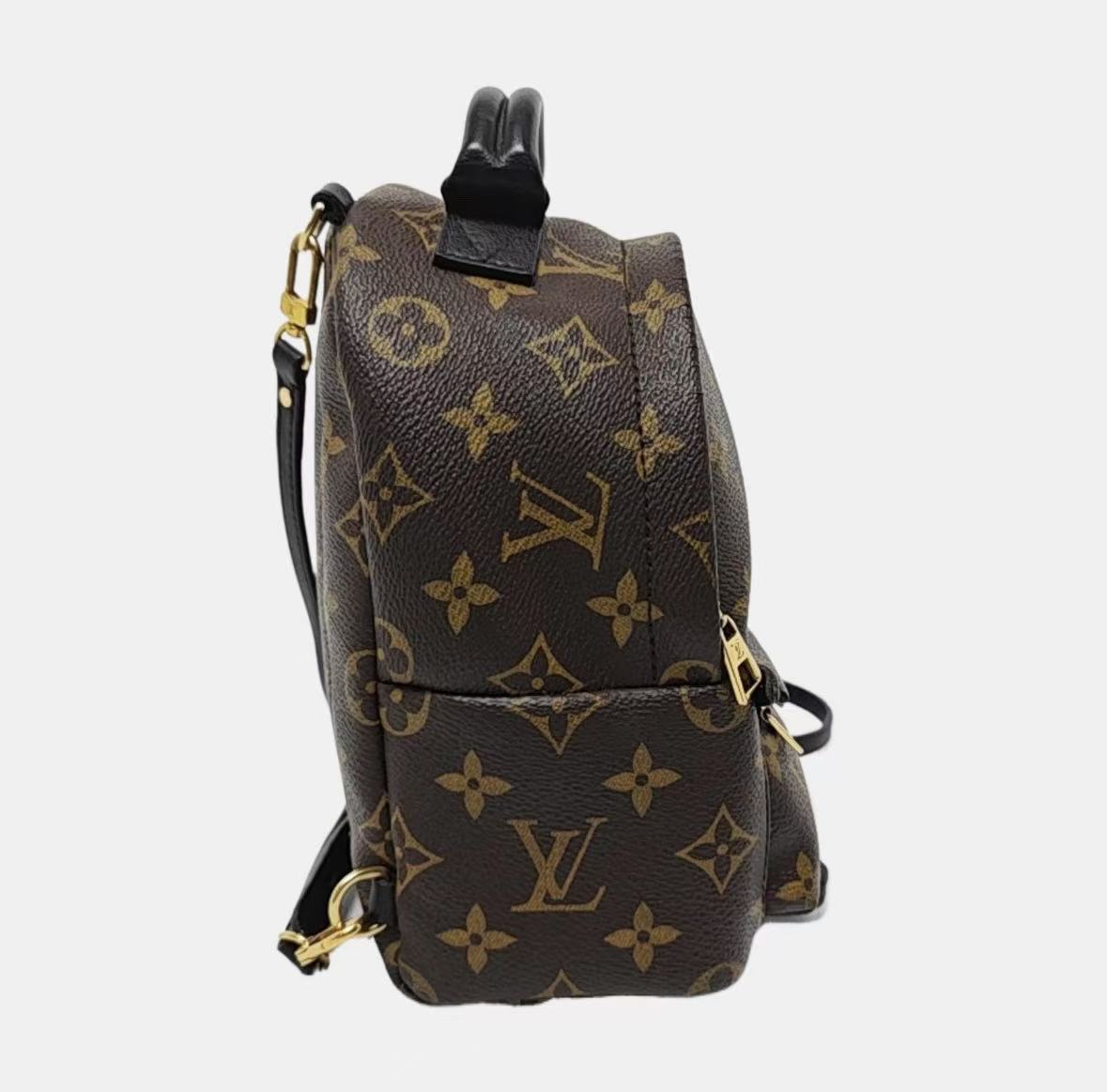 Louis Vuitton - Palm Springs - Monogram coated canvas with black leather trim - Brown - (mini)