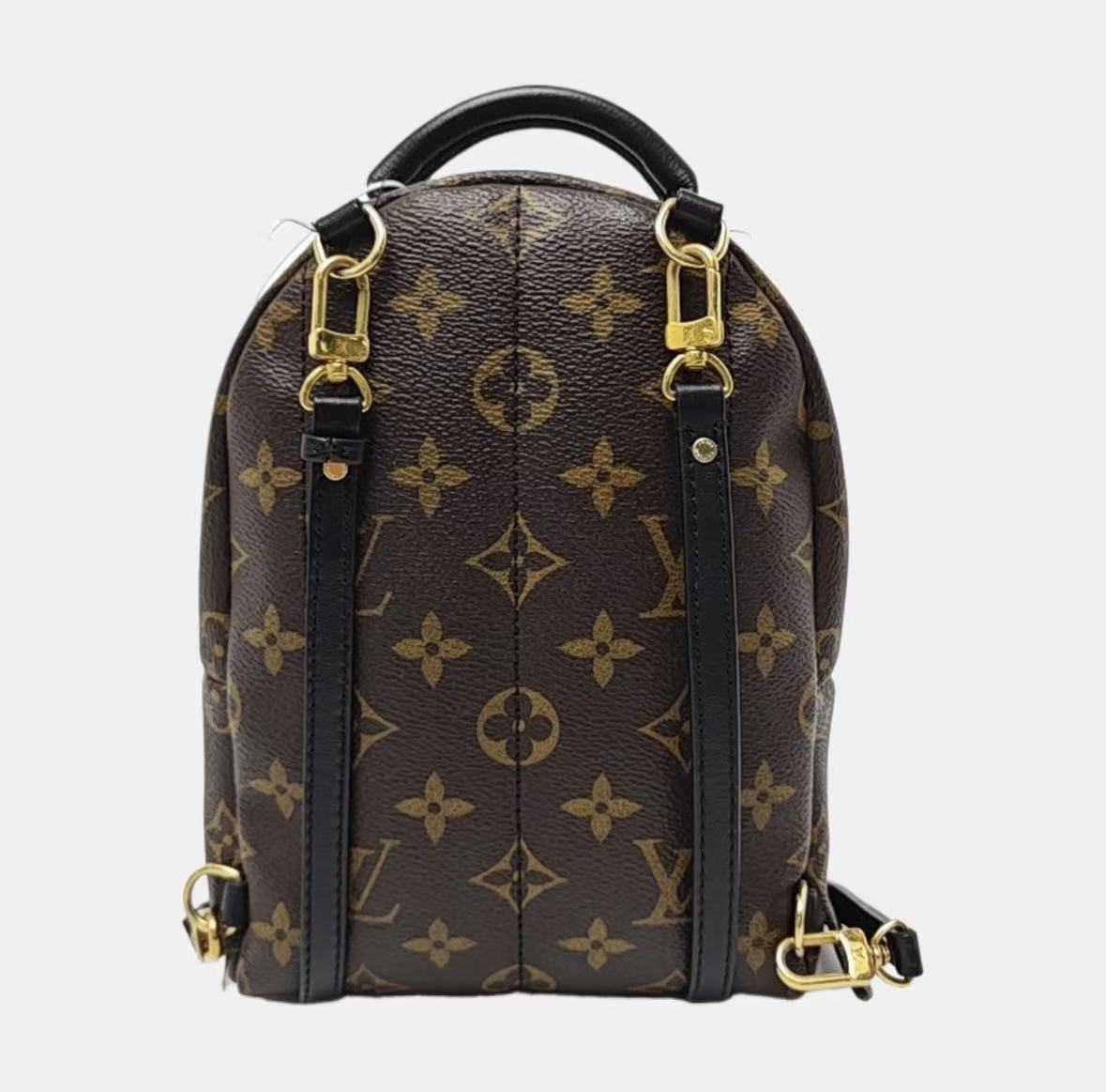 Louis Vuitton - Palm Springs - Monogram coated canvas with black leather trim - Brown - (mini)