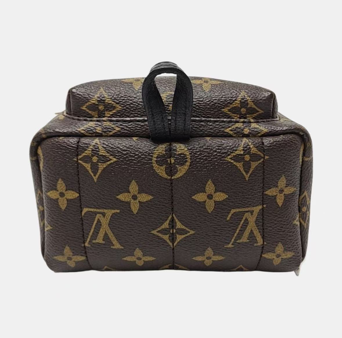 Louis Vuitton - Palm Springs - Monogram coated canvas with black leather trim - Brown - (mini)