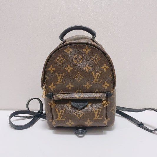 Louis Vuitton - Palm Springs - Synthetic - Brown - (mini)