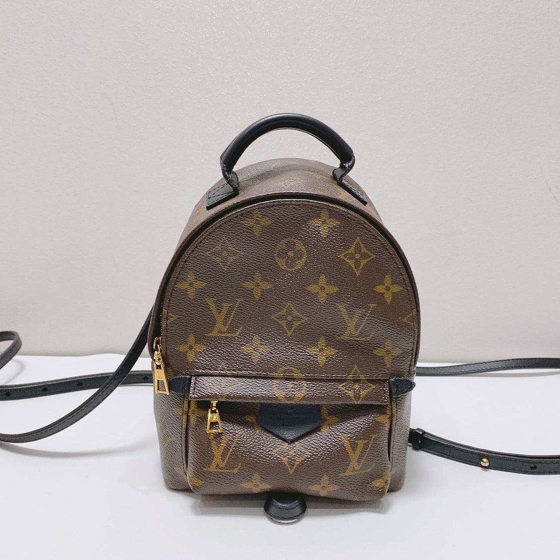 Louis Vuitton - Palm Springs - Synthetic - Brown - (mini)