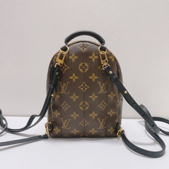 Louis Vuitton - Palm Springs - Synthetic - Brown - (mini)