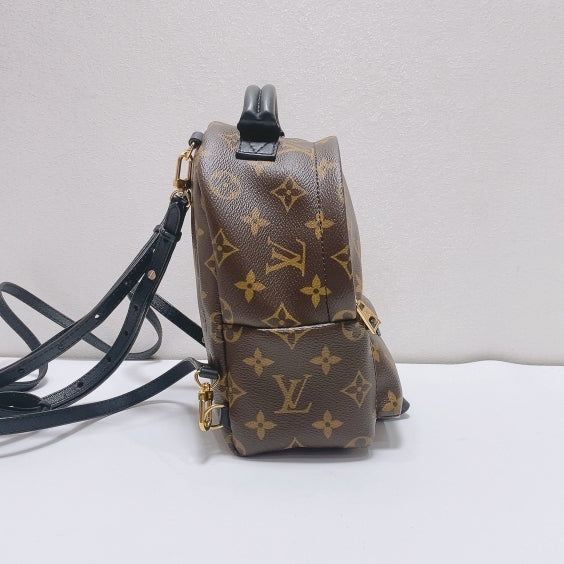 Louis Vuitton - Palm Springs - Synthetic - Brown - (mini)