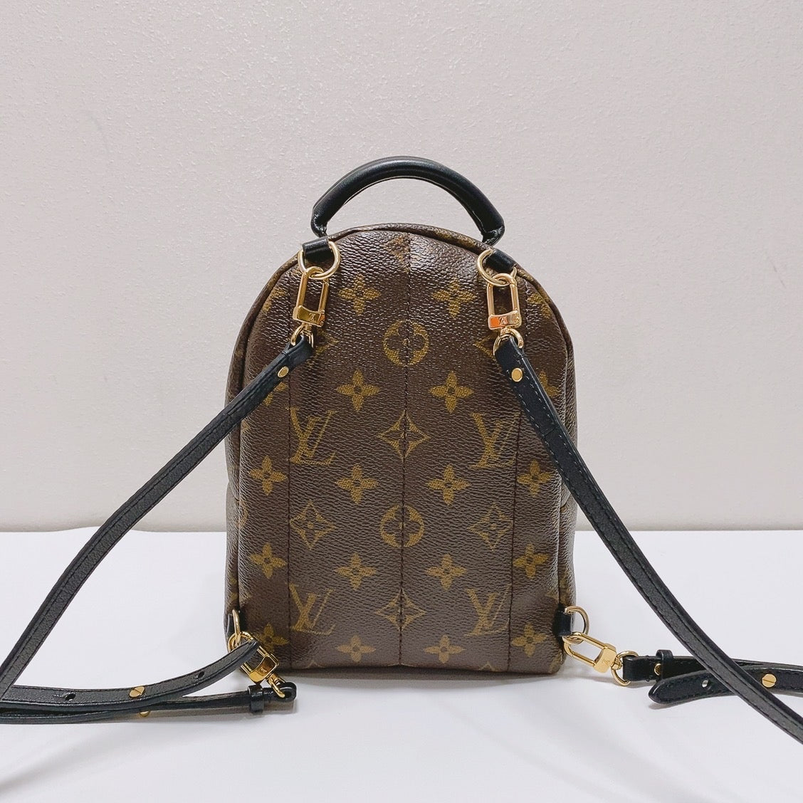 Louis Vuitton - Palm Springs - Synthetic - Brown - (mini)