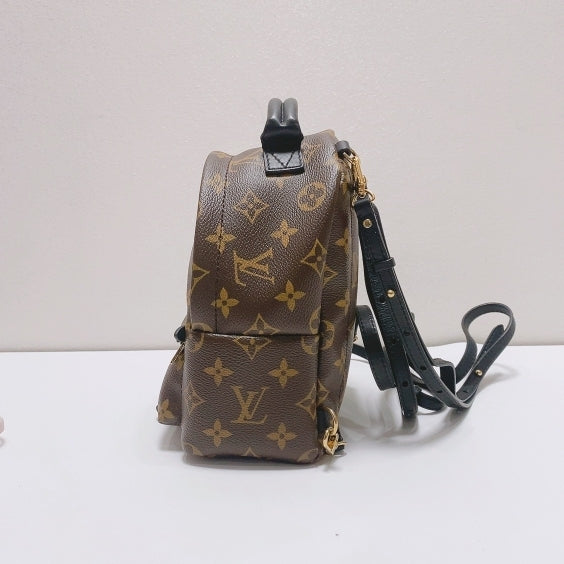 Louis Vuitton - Palm Springs - Synthetic - Brown - (mini)
