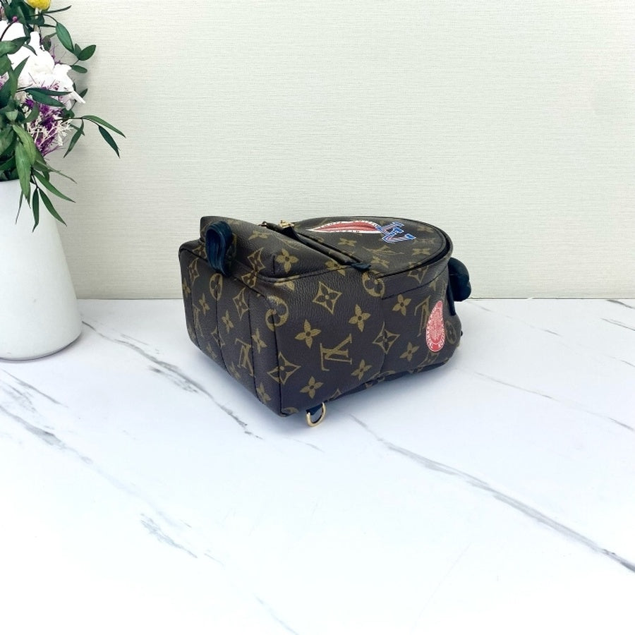 Louis Vuitton - Palm Springs - Synthetic - Brown - (mini)